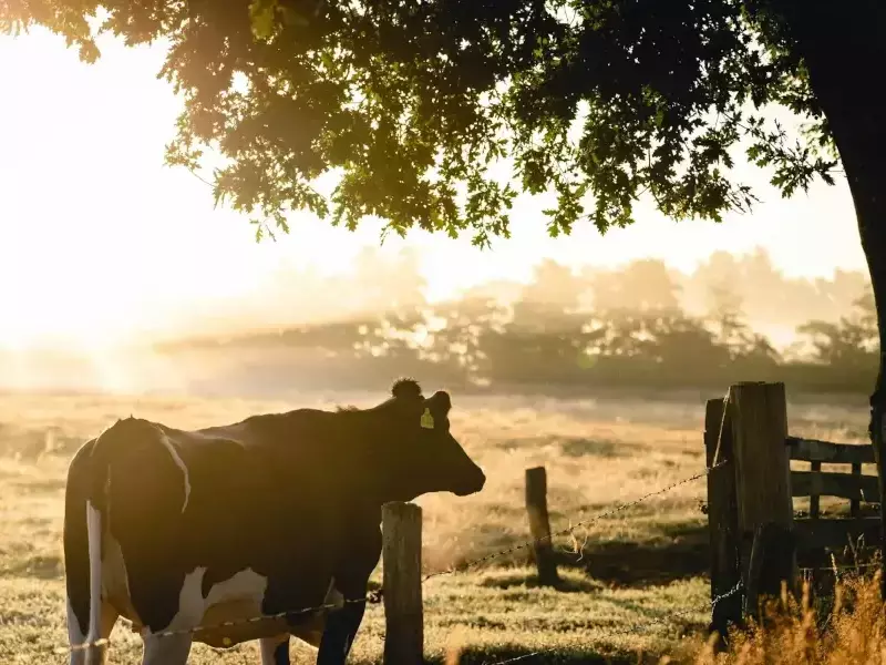 Български фермерски съюз се присъединява към протестите и иска оставката на министър Кирил Вътев