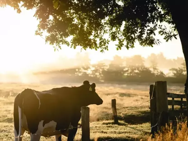 Български фермерски съюз се присъединява към протестите и иска оставката на министър Кирил Вътев