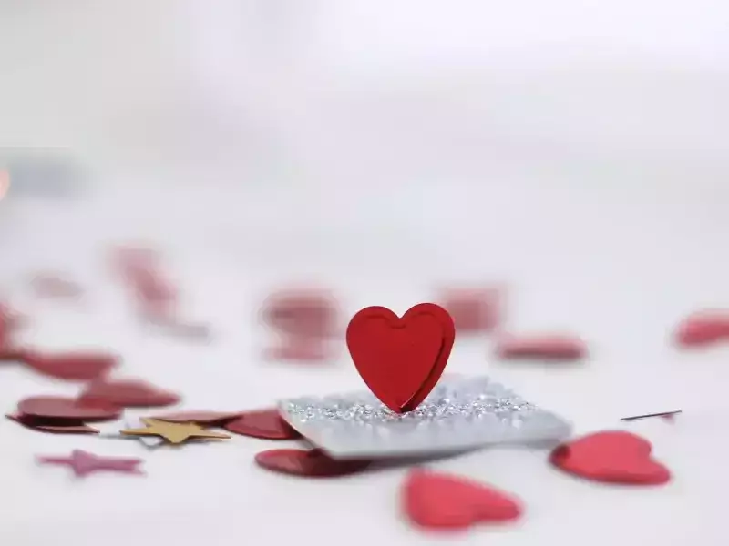 РЗИ – Шумен обявява конкурс за дигитална рисунка „Стих за обич“