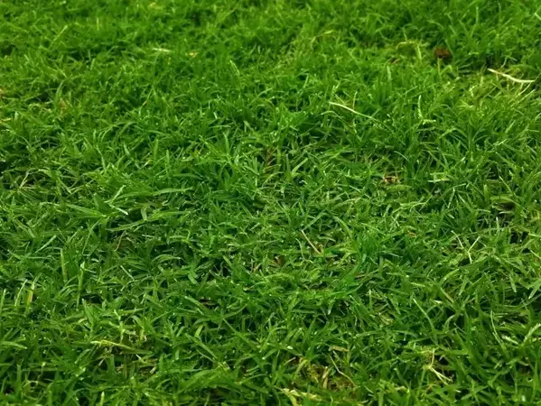 Косенето на тревните площи в Шумен продължава