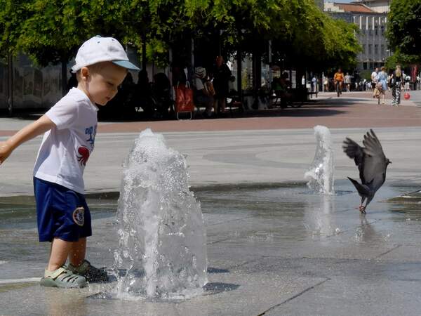 Слънце и високи температури в началото на седмицата 