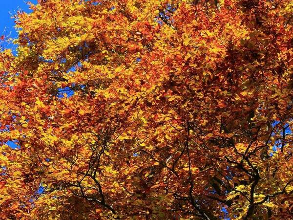 Слънчев четвъртък