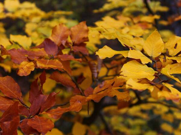 Започва разваляне на времето