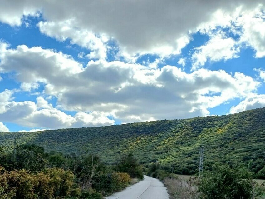 Мразовито петъчно утро