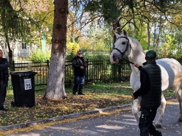 „Кабиюк“ на 160 години