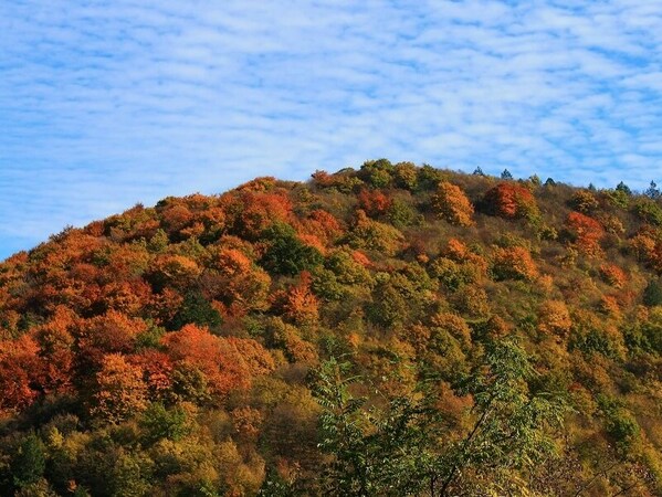 Настъпва астрономическата есен