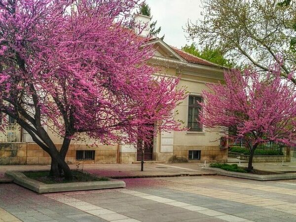 Подобряват вътрешния облик на галерията в Нови пазар