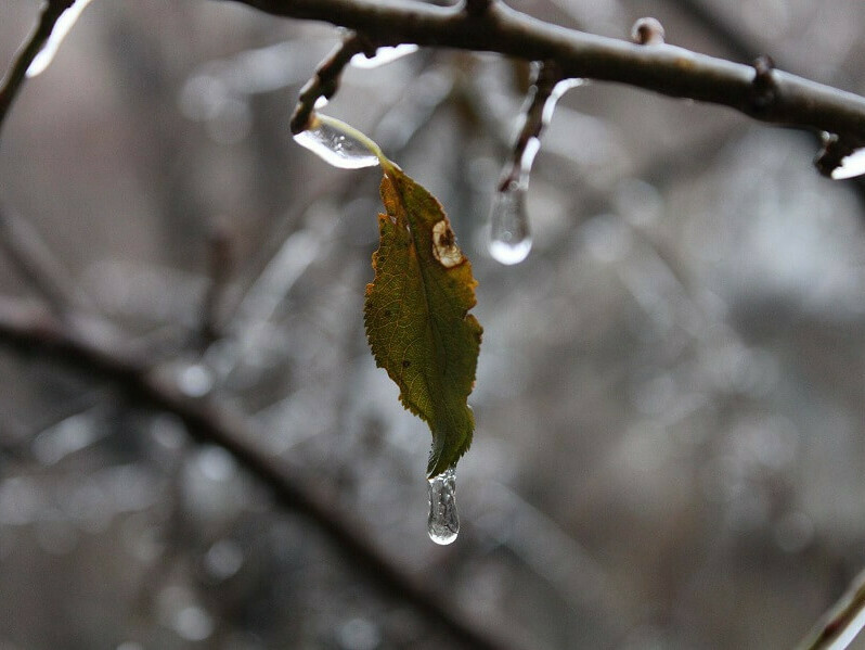 Застудяване през почивните дни