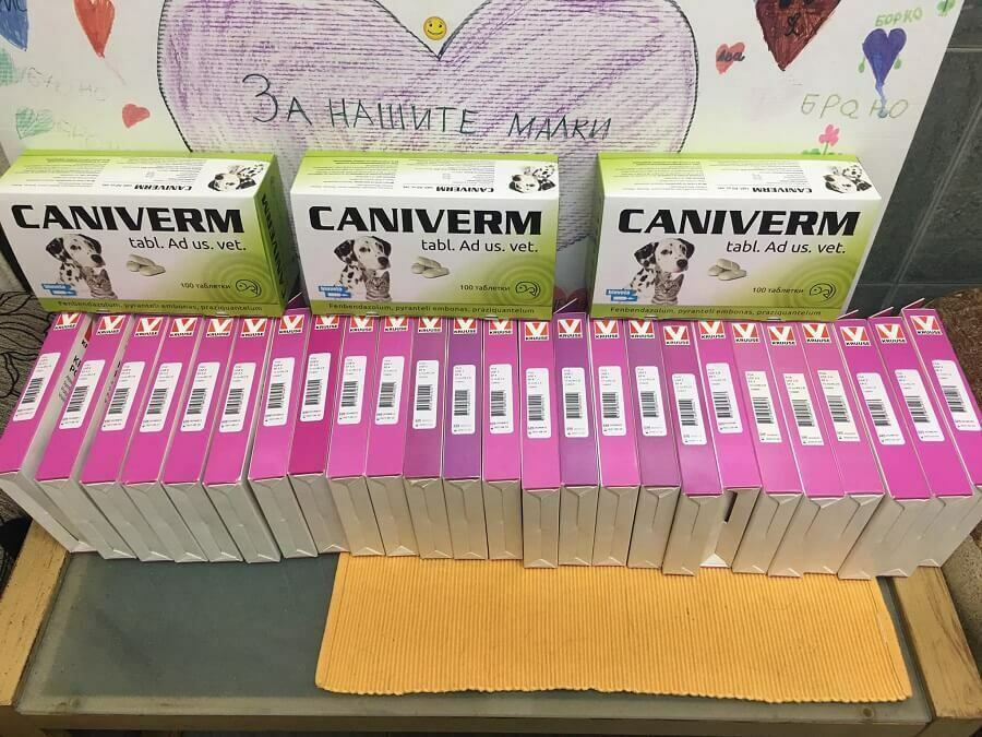 Дарители помагат на приюта за бездомни животни