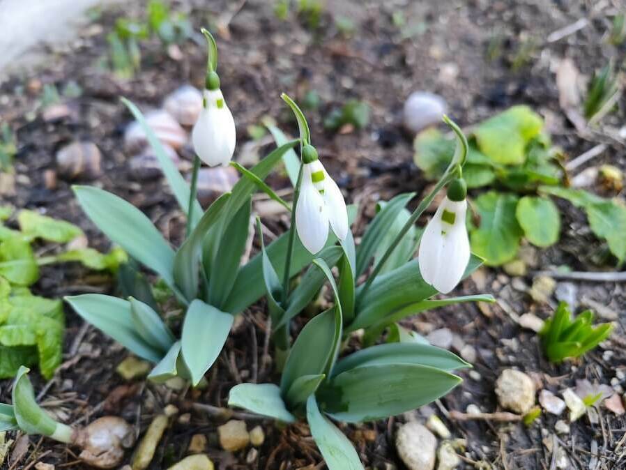 Времето през март: от минус 7° до 27 °