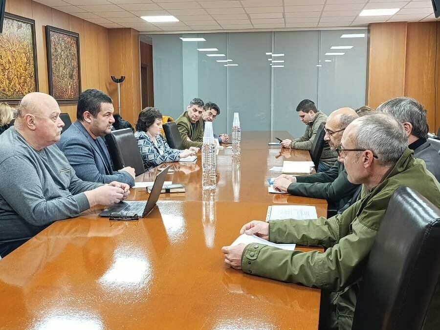 Експерти: Нужна е санитарна сеч на съхнещите черни борове