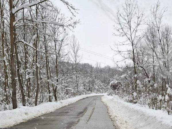 Кметове искат съдействие за почистването на селата