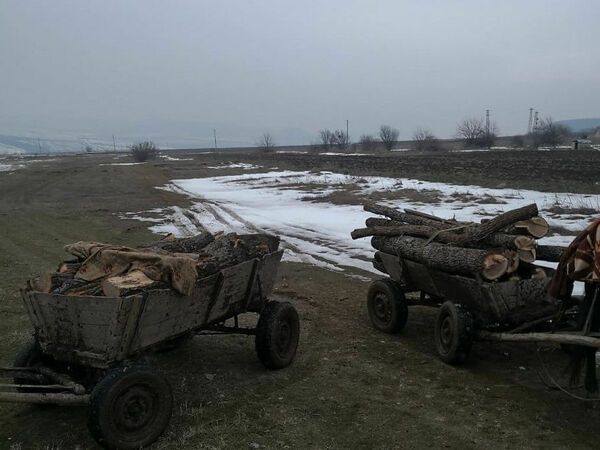 Заловиха крадци на дърва