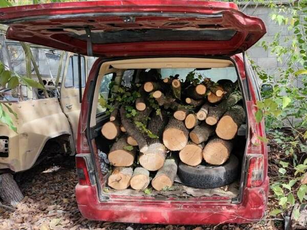 Близо 60 акта по Закона за горите за месец