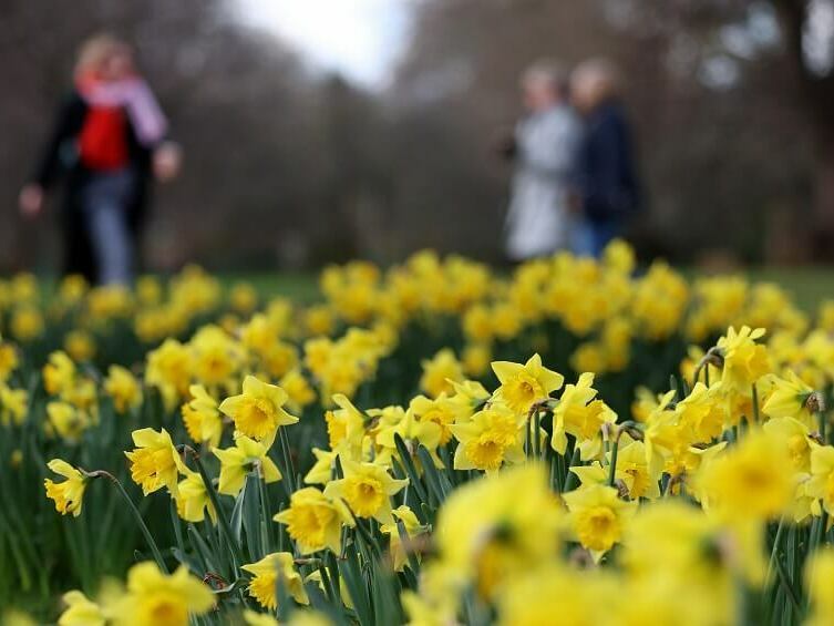 Астрономическата пролет идва с температури до 11°