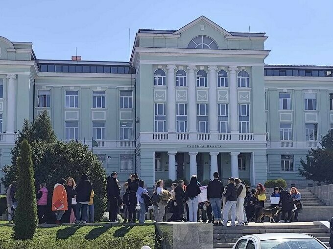 Шуменци казаха „Не!“ на насилието над животни