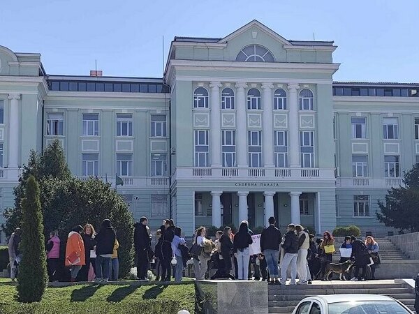 Шуменци казаха „Не!“ на насилието над животни