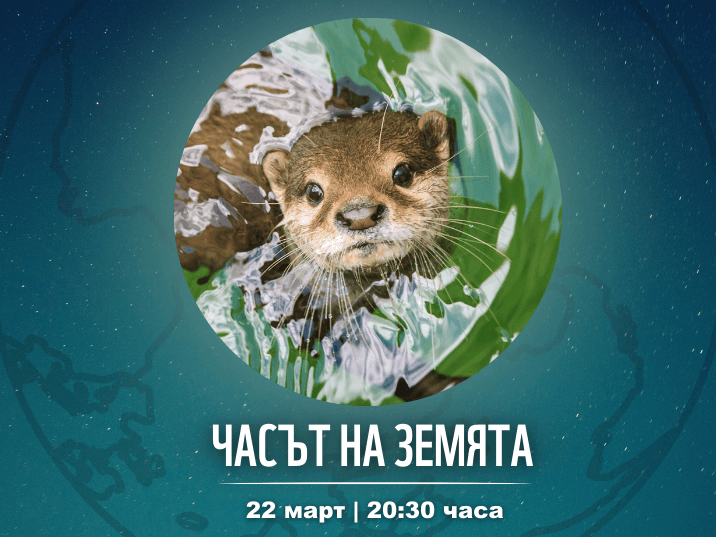 Общината и паметникът без осветление за 60 минути