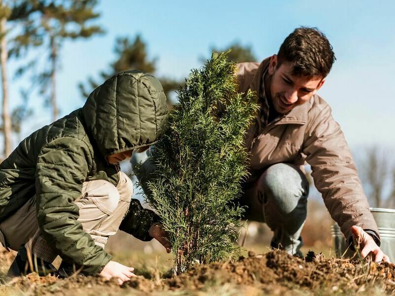 По едно дръвче за всяко новородено