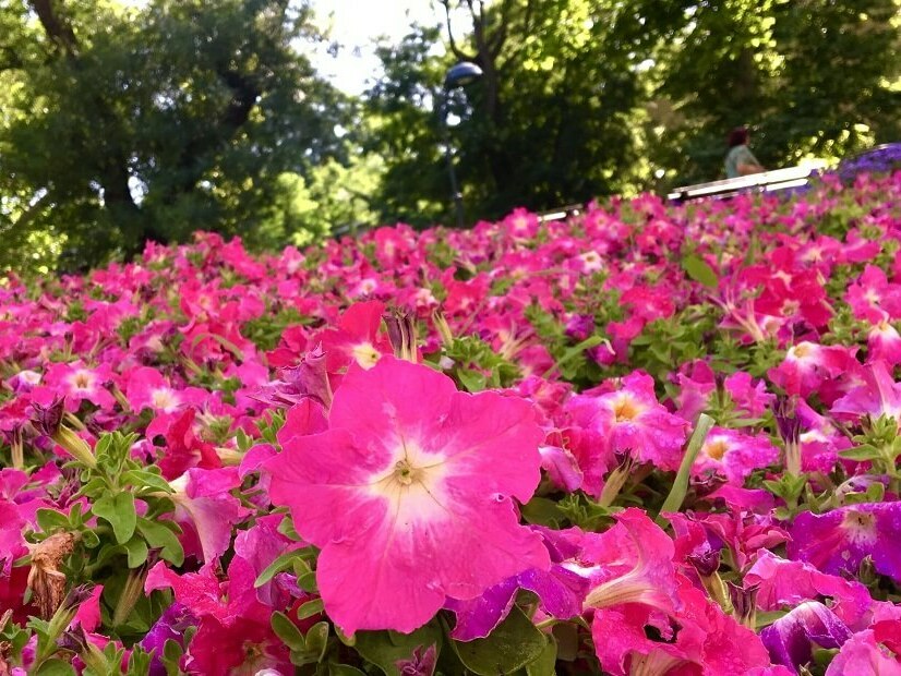 Температури до 33° в края на април