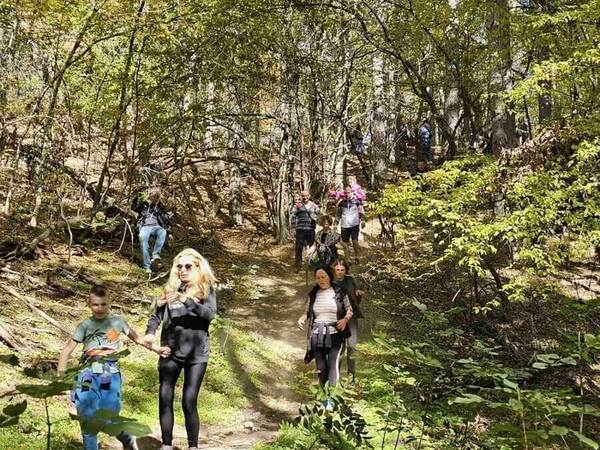 Деца и възрастни се включват в Седмицата на гората