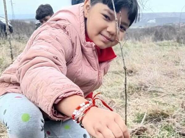 С нови гори посрещат вековната Седмица на гората