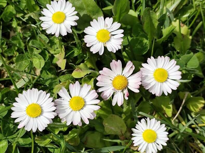 Новият месец с температури до 33°