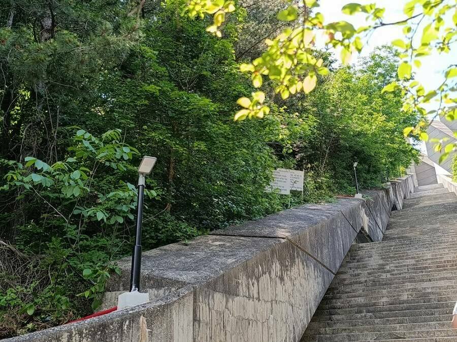 Нов сигнал за хищника, призив за бдителност на Платото