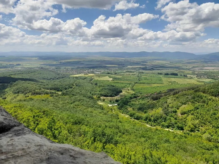 Издирват рядък вид хищник на Шуменското плато
