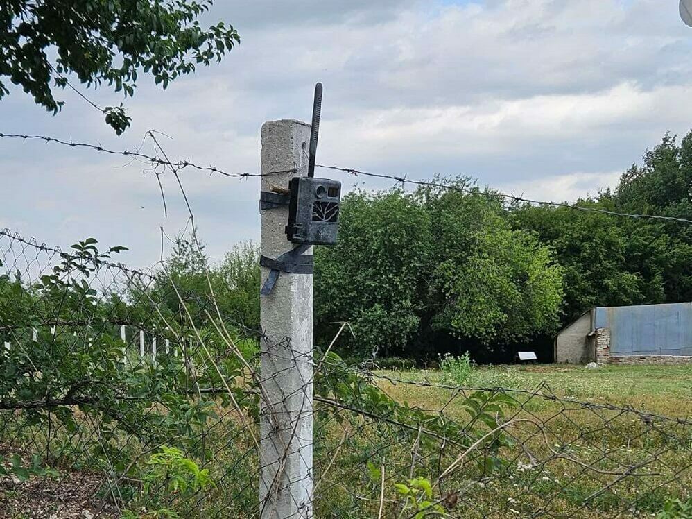 Местят фотокапани към „Дивдядово“ и Хан Крум