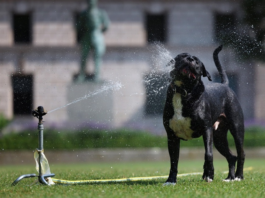 До 40° и през август
