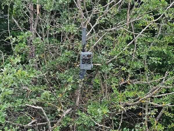 Пълна забрана за достъп до Шуменското плато от тази вечер