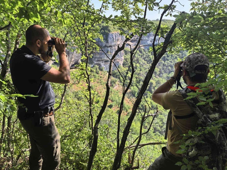 Стесняват района при издирването на хищника