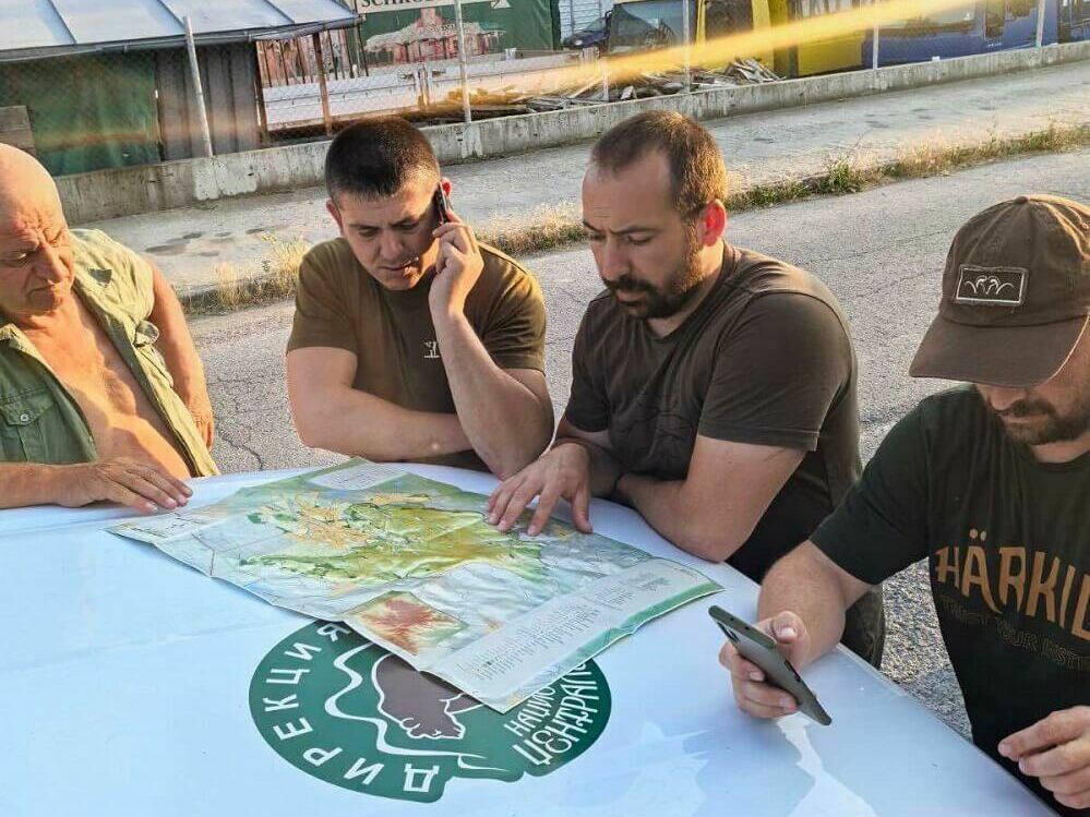 Търсят собственика на леопарда, засега без успех