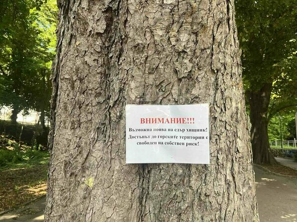 МВР с отговор по новата версия за дивия хищник