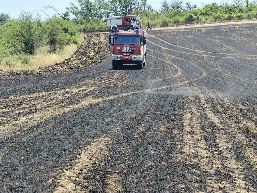 На площ от 1700 декара е бил пожарът край Развигорово