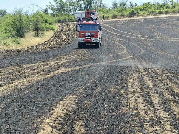 На площ от 1700 декара е бил пожарът край Развигорово