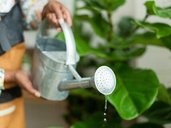 Кметове забраняват поливането с питейна вода