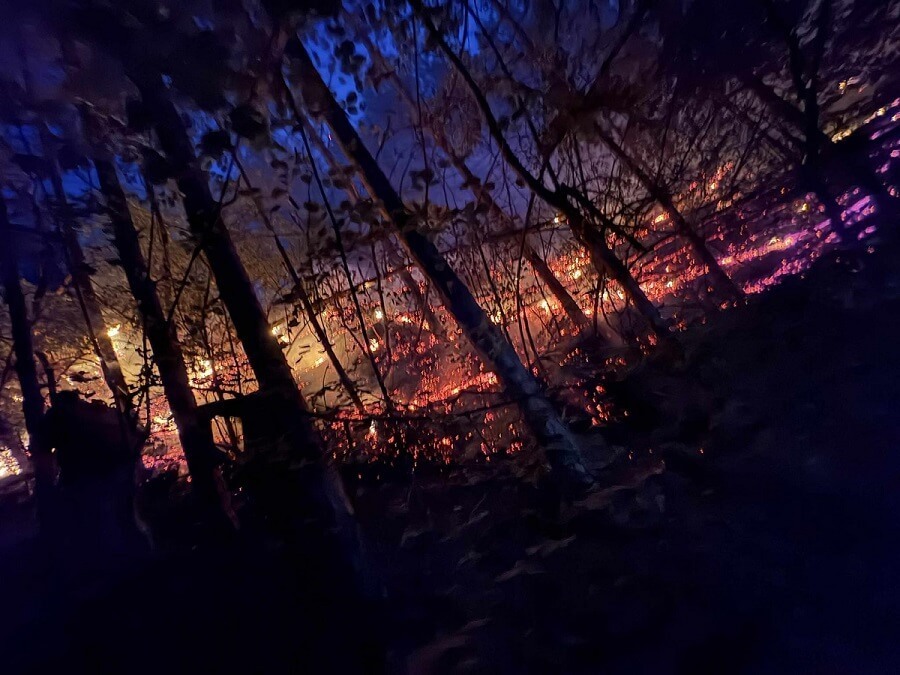 Локализираха пожара на Шуменското плато