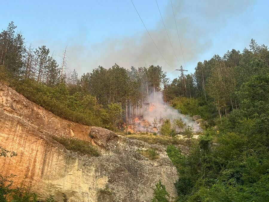 Пожарът на Платото унищожи близо 20 декара гори