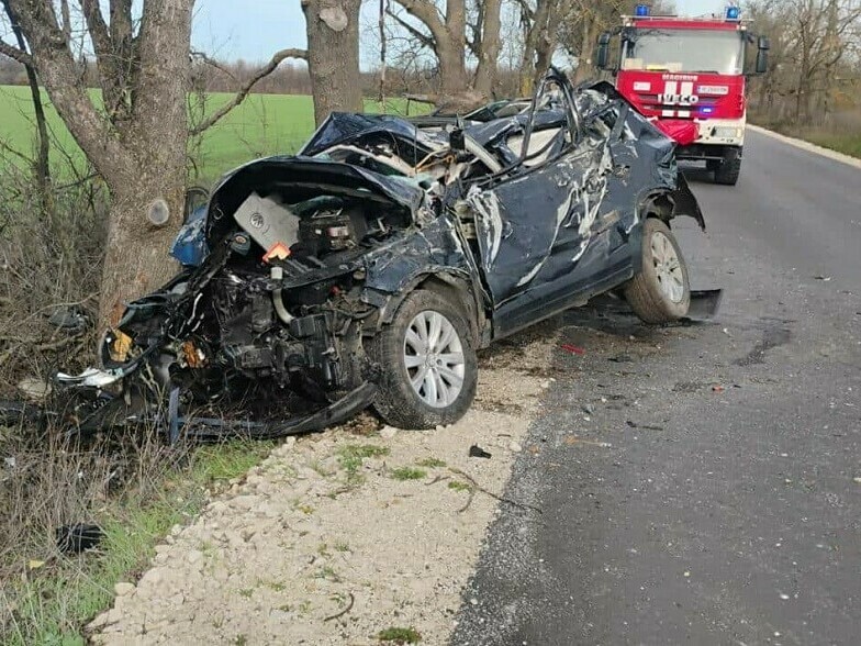 Водач от Каолиново загина след удар в дърво