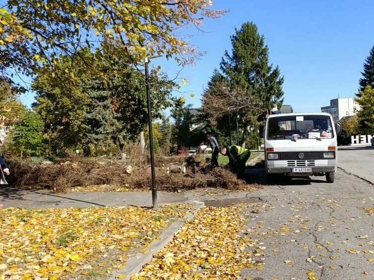 Кастрят клони, затрудняващи движението на градския транспорт