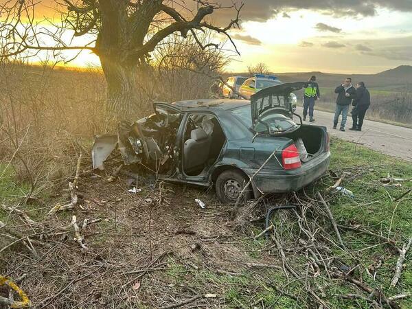 Водач с опасност за живота след удар в дърво