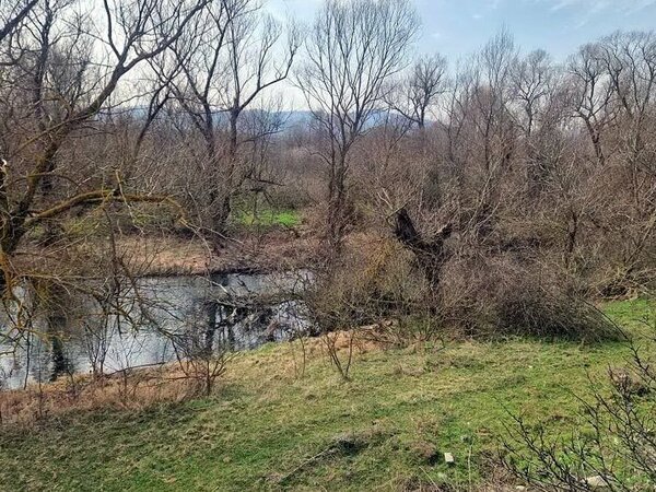 Речни корита и дерета се нуждаят от почистване