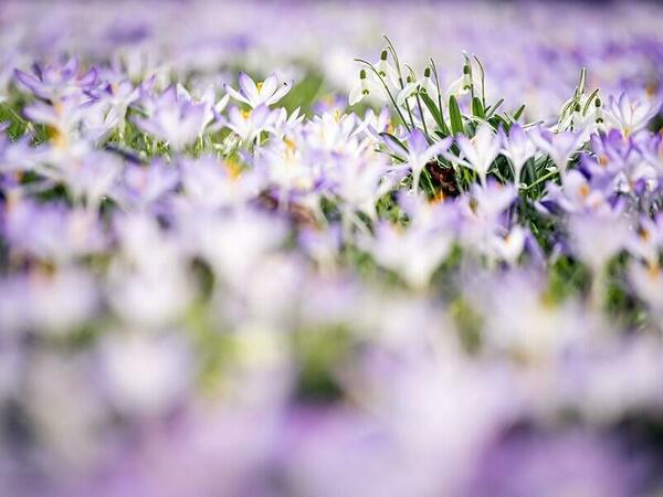 Посрещаме астрономическата пролет