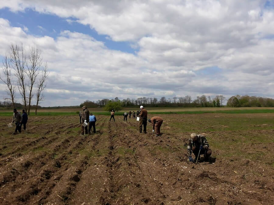 Близо 600 дка нови гори през 2026 г.