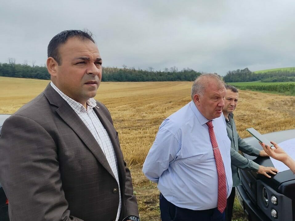 Мерки за възстановяване на засегнати от съхнене гори