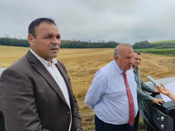 Мерки за възстановяване на засегнати от съхнене гори